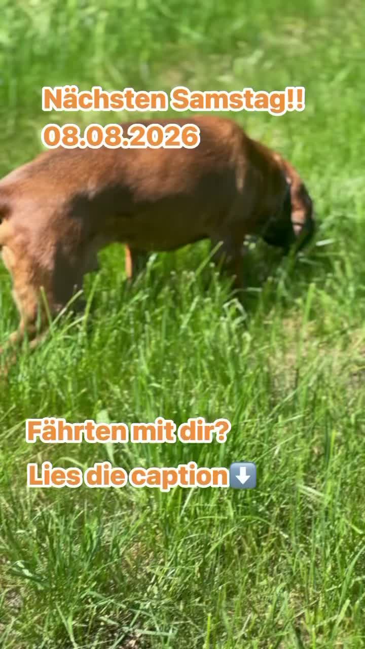 Instagram Post