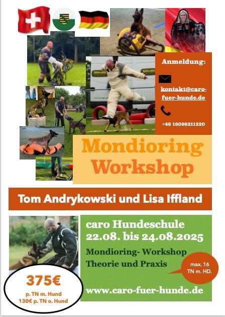 Workshop Mondioring - 22.08. - 24.08.2025